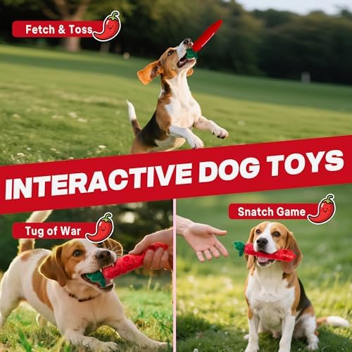 Fida 2-in-1 Puppy Teething Toys, Natural Rubber Chew Toys for Dogs, Chilly