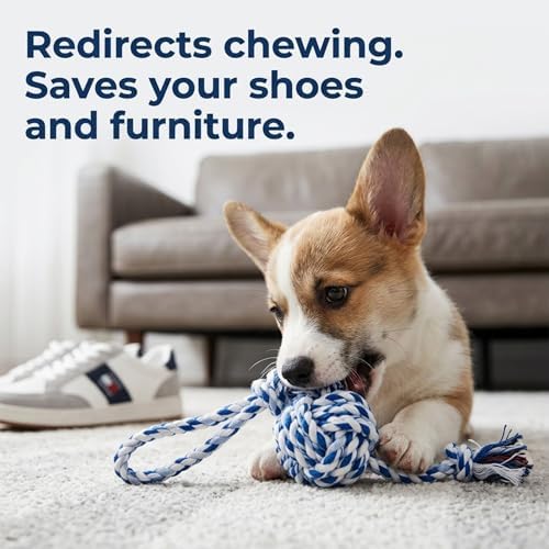 Puppy Teething Toys for Small Dogs, 5 Pack