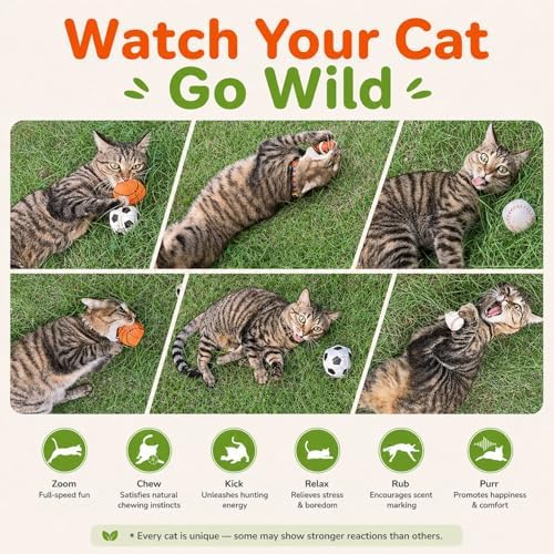 Agape Organic Catnip & Silvervine Filled Cat Toy Balls with Bell Sound