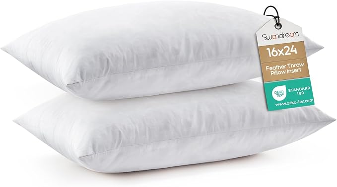 16x24 Feather Lumbar Pillow Inserts, Decorative Throw Pillow Inserts for Covers, Fuller Fit with Soft Support for Bed and Couch, Set of 2