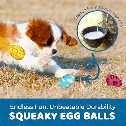 SunGrow Dog Chew Toy, Natural Rubber Squeaker, Interactive Fetch Ball, 3 Pc