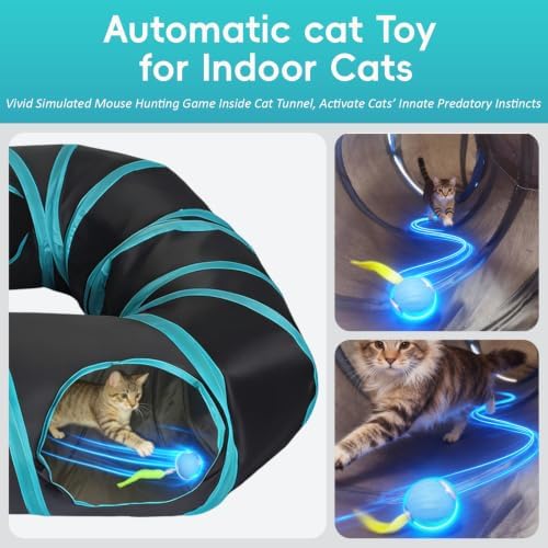 Interactive Cat Toy,Motion-Activated Ball in Cat Tunnel