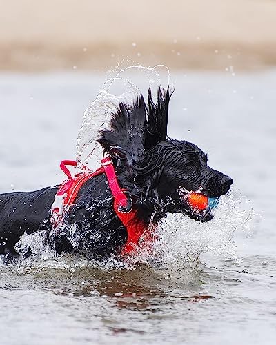 Chuckit! Amphibious Fetch Balls and Bumper Set for Dogs