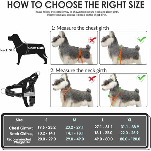 Lukovee No Pull Dog Harness and Leash Set, Soft Padded for Large Medium Dog