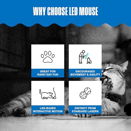Penn-Plax LED Mouse Projection Toy for Cats - Interactive Cat Toy with Moving Mouse LED Projection for Indoor Chase Play, Exercise, Activity, Mental Stimulation & Everyday Fun - 0.5 x 4.5 x 4 Inches