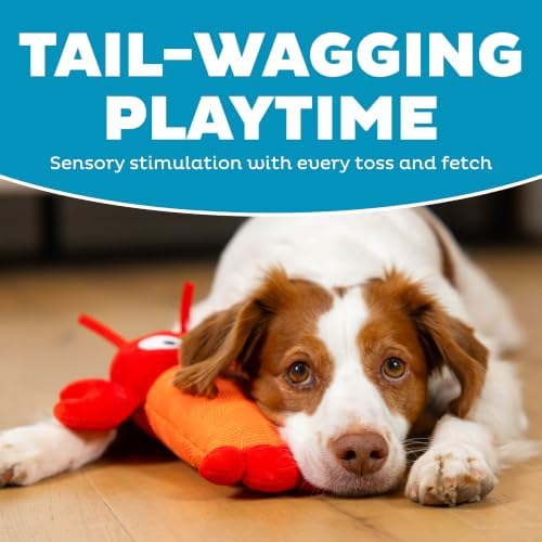 Outward Hound Coated Critterz Dog Toy – Plush & Molded Texture, Squeaky Fetch, Small & Medium Dogs, Lobster, 10.4"