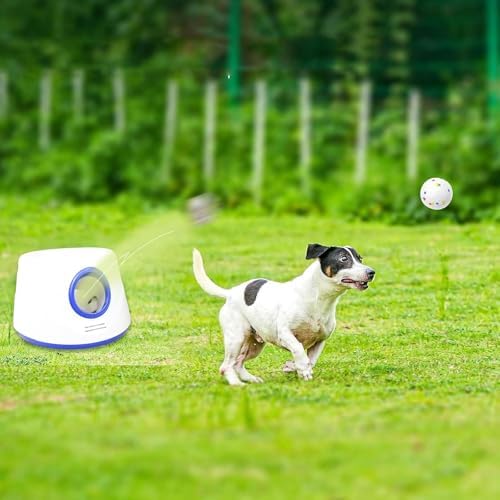 6-Pack Dog Toy Balls, 2.3-Inch ETPU Material, Replacement Balls for Automatic Ball Launcher Machine, Perfect for Small & Medium Dogs, Perfect for 2.3-Inch Automatic Thrower