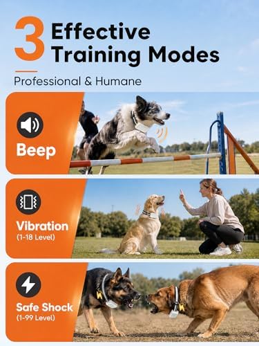 Dog Training Collar with 3300FT Remote, IP68 Waterproof, 3 Modes