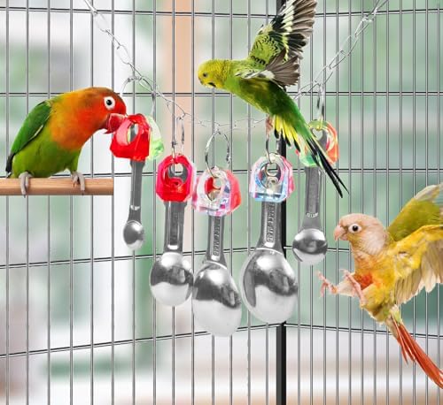 Bird Chew Toys, Parrot Toys, Spoon&Ring Toy for Small/Medium Birds