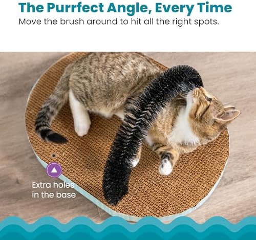Catstages Scratch & Groom Cat Scratcher with Removable Curved Brush for Self-Grooming Station, Orange (Pack of 6)