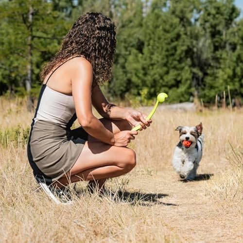 Chuckit! Air Fetch Ball Dog Toy, Medium 2.5in, 2 Pack