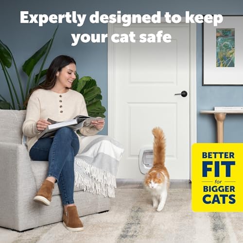 PetSafe Big Cat Door, Interior/Exterior, 4-Way Lock, Soft-Close, Up to 25lb