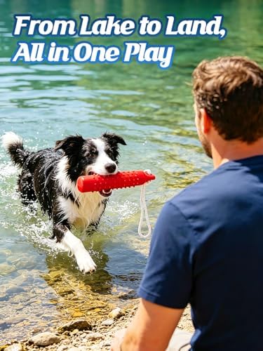 MEWTOGO 2 Pack Interactive Dog Pool Toys