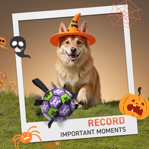 QDAN Halloween Dog Toys Balls with Straps, 8 Inch Large Dog Herding Balls