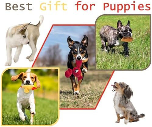 JKW Squeaky Plush Dog Toy Set, 3 Pack Interactive Pet Toys, Chew Toys for Small Medium Large Dogs (Lobster 3 Pack)