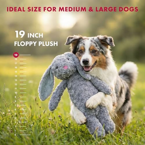 Petlou Stuffingless Floppy Plush Dog Toys with Durable Squeak and Crinkle Paper Dog Chew Toys for Large Dogs and Medium Dogs (Gray, 19 Inch Floopy Rabbit 2)
