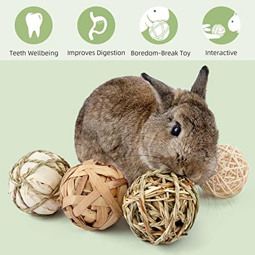 andwe Small Animals Play Activity Balls Rolling Chew Toys(Pack of 8)