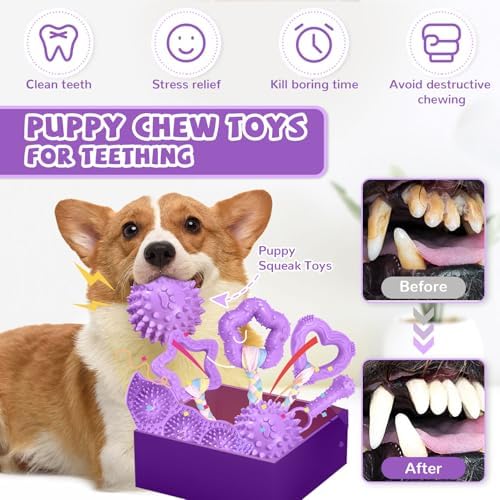 ABRRLO 6 Pack Puppy Teething Toys Cute Purple Puppy Chew Toys for Teething Small Breed Dog Chew Toy Interactive Pet Toy Set for Puppies to Keep Them Busy Soft Durable Small Breed Doggy Chewing Ball