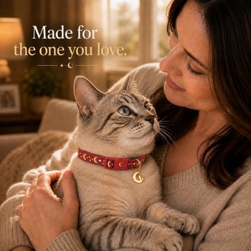 Breakaway Cat Collar with Bell for Kittens & Cats