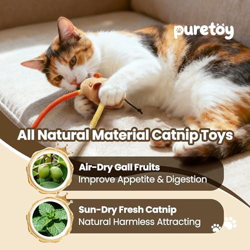 Cat Chew Ropes with Catnip Mouse, 3Pcs Cat Chew Toys for Large Cats Enrichment, 3-in-1 Catnip Toys Mouse & Strong Braided Ropes & Gall Fruits, Cats Teething Toys