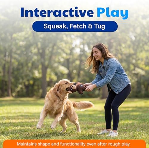 American Kennel Club Plush Dog Toy with Squeaker for Moderate Chewers, Soft Stuffed Dog Toy for Tugging, Fetch & Interactive Play, Gentle on Teeth