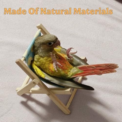 DRESSO Bird Toys for Conures, 4 Pcs Parrot Training Toys Set, Interactive Toys for Birds