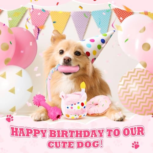 RoundFunny 11 Pcs Dog Birthday Toy Gift for Dog Birthday Cake Puppy Girl Boy Squeak Toys Interactive Puppy Gift with Box for Small Medium Size(Classic,Pink)