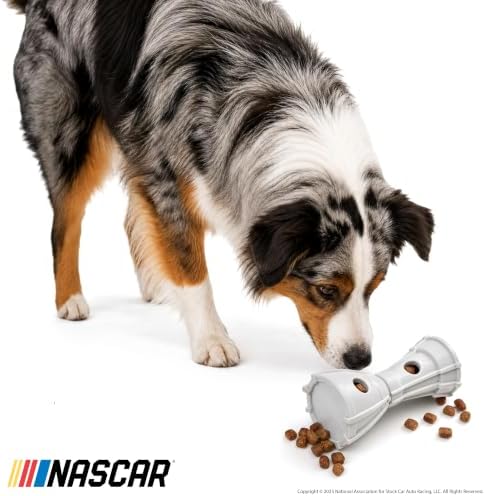 NASCAR, Hide & Seek Nesting Toys for Dogs, Trophy Treater & Tire Chew Toy