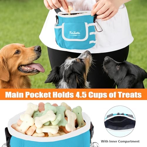 Dog Treat Pouch with Magnetic Closure for Pet Training