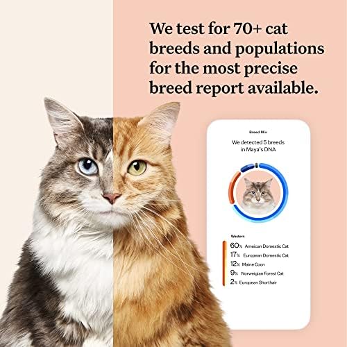 Wisdom Complete Cat DNA Test Panel for Full Health, Properties and Adventures - White