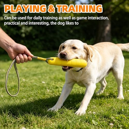 PUPTECK Interactive Dog Pool Toys Water Floating Toys Fetch Training Bumpers 4 Pack, Orange & Yellow