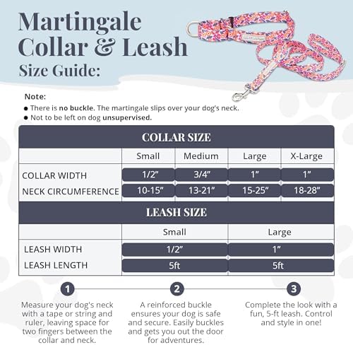 Lucky Love Dog Martingale Collar & Leash Set No Slip Cute – Rosie, Medium