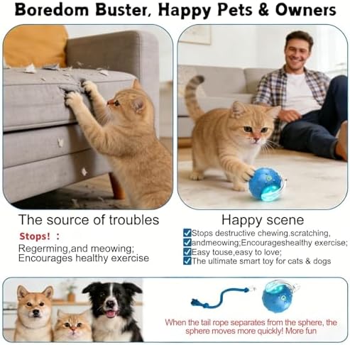 2PCS Interactive Cat Toys Ball, Tiny Fetch Interactive Dog Cat Toy Ball - 360° Automatic Scrolling with Birdsong, Smart Obstacle Avoidance, Rechargeable Boredom Buster for Pets (Blue+Red)