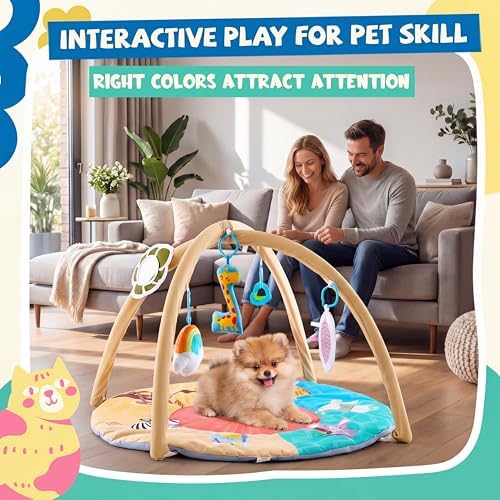 Dog Cat Play Gym with Squeaky Toys, Pet Activity Pad, 30x20
