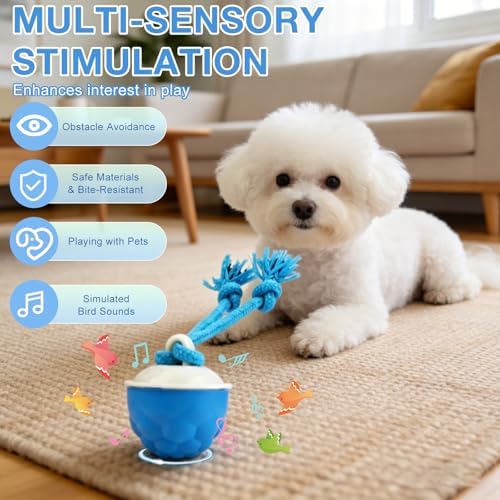 Interactive Dog Ball Toy (3.35x2.76in), 2026 Upgraded Automatic Rolling Ball with 3 Modes, USB Rechargeable, Smart Motion Pet Ball, for Small Medium Large Dogs Indoor Outdoor Play (Orange)