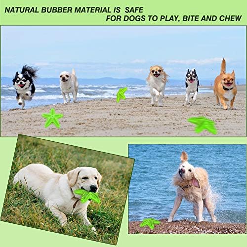 Squeaky Dog Toys - Starfish Natural Teeth Cleaning Toy for Small & Medium Dogs (Green)