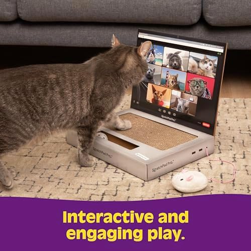 WHAT DO YOU MEME? Paws & Relax Pet Massager