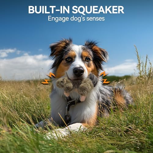 ALL FOR PAWS Squeaky Dog Toys, Plush Squirrel Dog Toy, Stuffed Animal Dog Toys for Small Medium Large Dogs, Soft Puppy Chew Toy with Squeaker