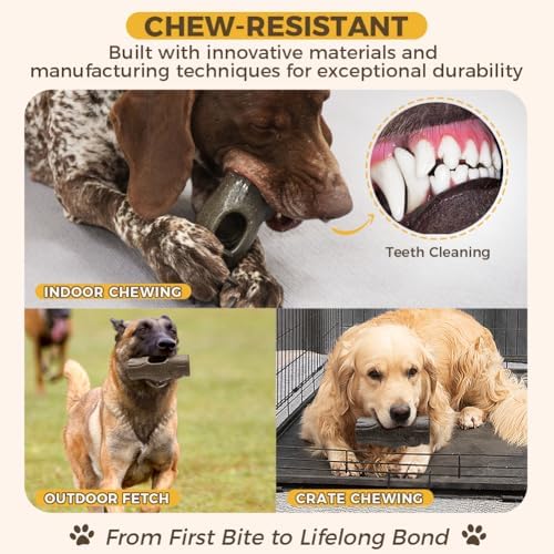 Mankoda Dog Frozen Treat Toy to Keep Them Busy - Chew for Medium/Large Dogs