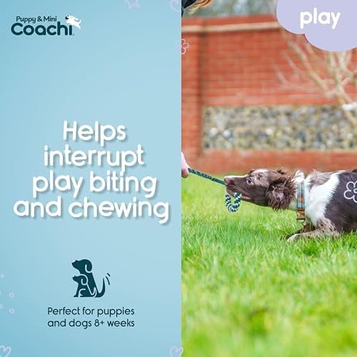 Coachi Puppy & Mini Tuggi Helix - Dog Toy for Tug of War & Play
