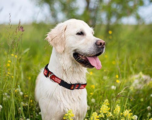 Pets First NHL Collar for Dogs & Cats. Adjustable, Cute, & Stylish! The Ultimate Hockey Fan Collar!