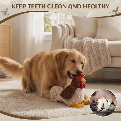 ALL FOR PAWS Rooster Squeaky Dog Toy, Plush Dog Toy for Small Medium Large Dogs, Chicken Fetch Toy with Squeaker & Crinkle, 9.1 x 5.5 x 11.4 inches