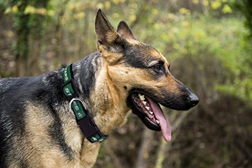 Pets First NHL Collar for Dogs & Cats. Adjustable, Cute, & Stylish! The Ultimate Hockey Fan Collar!