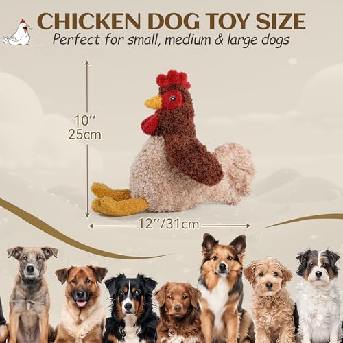 ALL FOR PAWS Chicken Squeaky Dog Toy, Plush Stuffed Animal Toy for Small Medium Large Dogs, Puppy Chew Toy with Squeaker & Crinkle, Interactive Rooster Pet Toy for Boredom Relief & Training