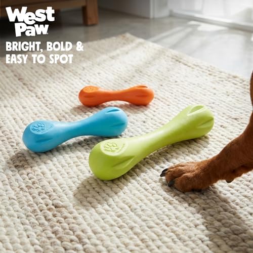 WEST PAW Zogoflex Hurley Dog Bone Chew Toy – Floatable Pet Toys for Aggressive Chewers, Catch, Fetch – Bright-Colored Bones for Dogs – Recyclable, Dishwasher-Safe, Non-Toxic, Large, Aqua