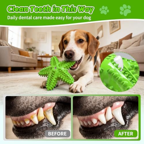 Dog Chew Toys Interactive Tough Floating Squeaky Toy