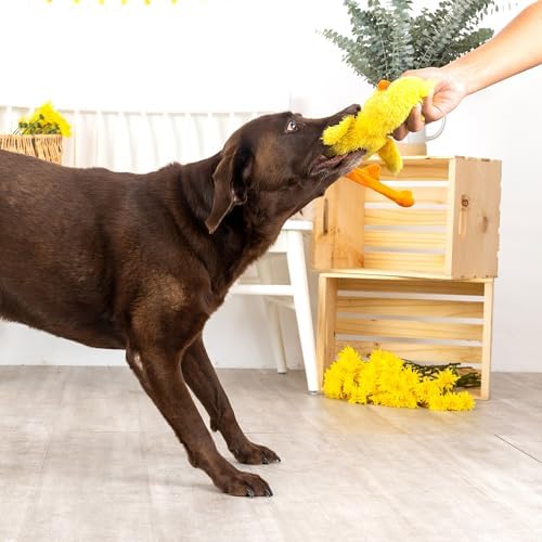 Fringe Studio Plush Dog Toy, Spring Chicken, Pet Shop Collection (314133)