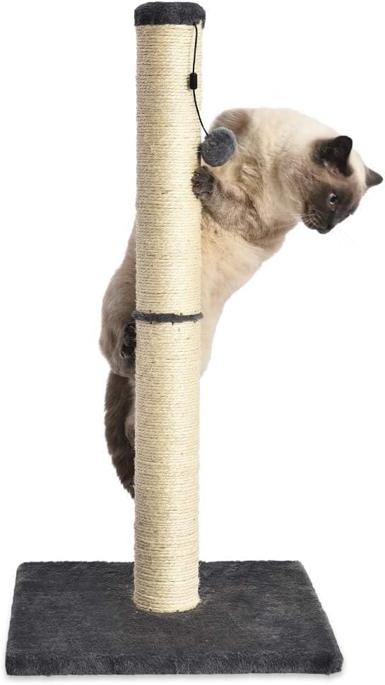 Amazon Basics Cat Scratching Post for Indoor Cats & Kittens, Medium (31.5"H), Cat Furniture with Dangling Ball Toy, Grey