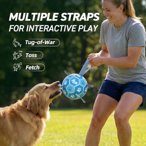 QDAN Dog Balls, 6 Inch Soccer Ball with Straps for Dogs, Outdoor Dog Toys