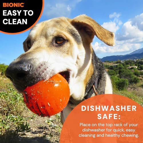 BIONIC Ball Dog Toy for Dogs Between 30-60+ lbs, Large